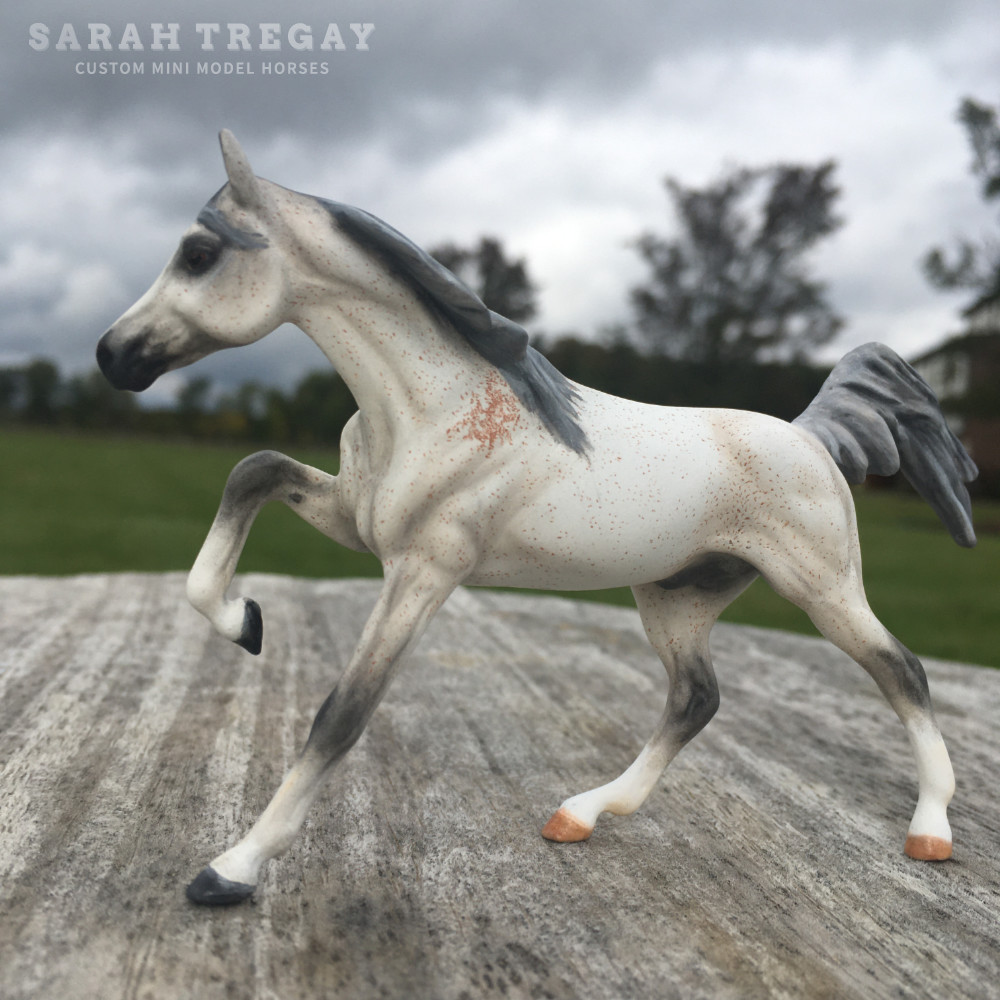 CM Darley Mold, Nabil, a bloody shoulder Arabian by Sarah Tregay, a Custom Mini/ Stablemate Model Horse 