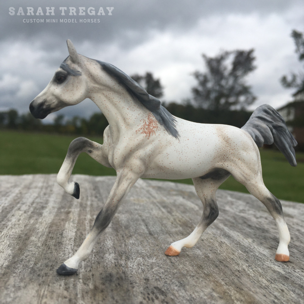 CM Darley Mold, Nabil, a bloody shoulder Arabian by Sarah Tregay, a Custom Mini/ Stablemate Model Horse