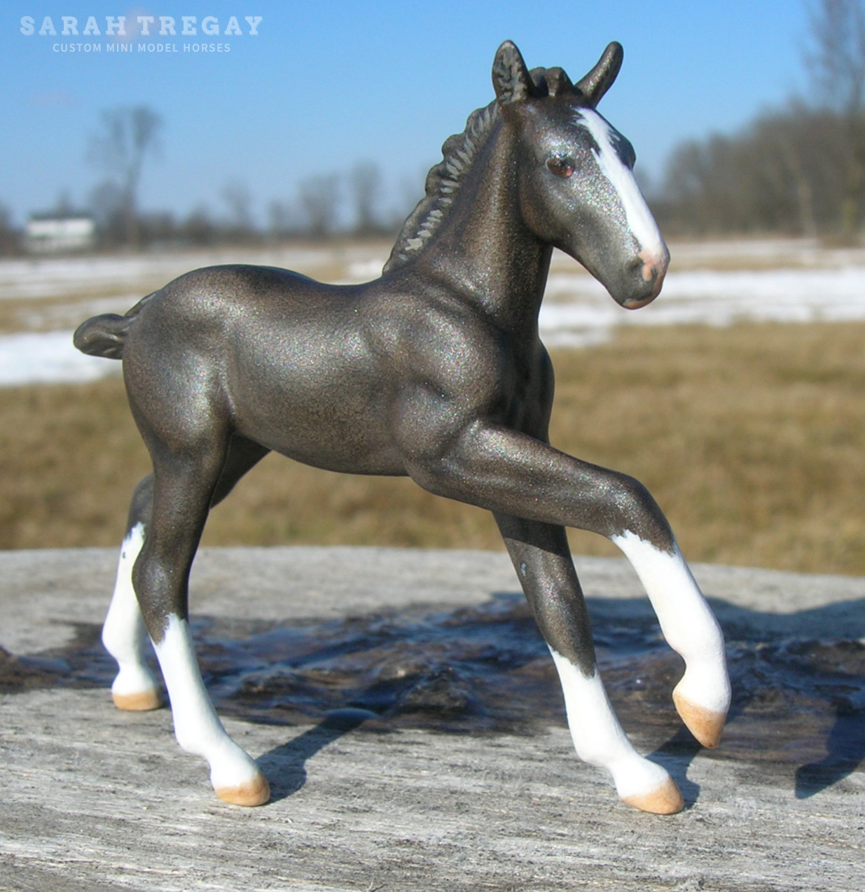 CM baby black foal filly  by Sarah Tregay, a Custom Mini/ Stablemate Model Horse