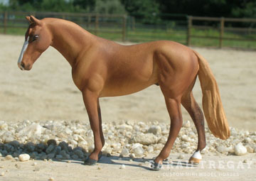 cm mini model horse by Sarah Tregay