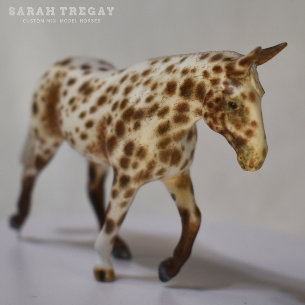CM Breyer by Sarah Tregay, a Custom Mini/ Stablemate Model Molly Mule in Liver Chestnut Appaloosa