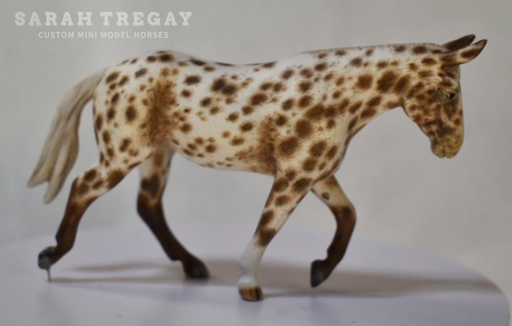 CM Breyer by Sarah Tregay, a Custom Mini/ Stablemate Model Molly Mule in Liver Chestnut Appaloosa
