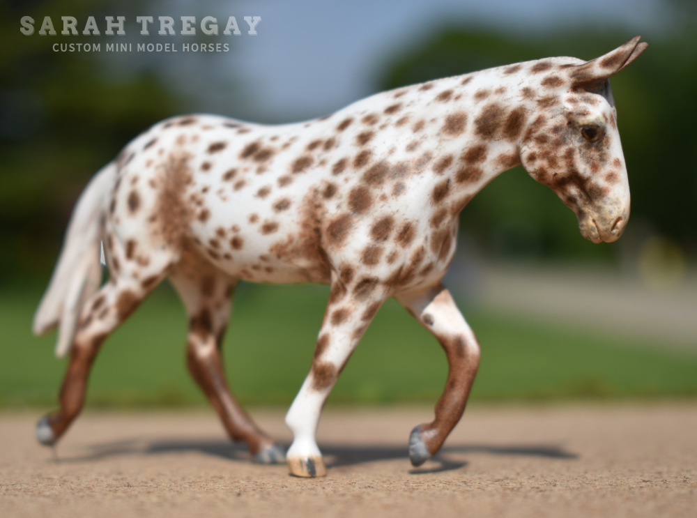 CM Breyer by Sarah Tregay, a Custom Mini/ Stablemate Model Molly Mule in Liver Chestnut Appaloosa
