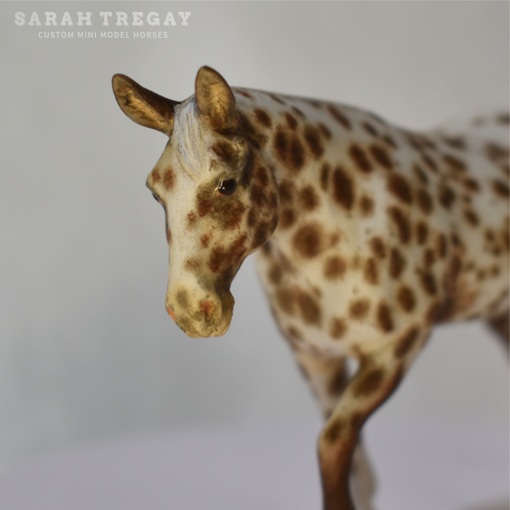 CM Breyer by Sarah Tregay, a Custom Mini/ Stablemate Model Molly Mule in Liver Chestnut Appaloosa