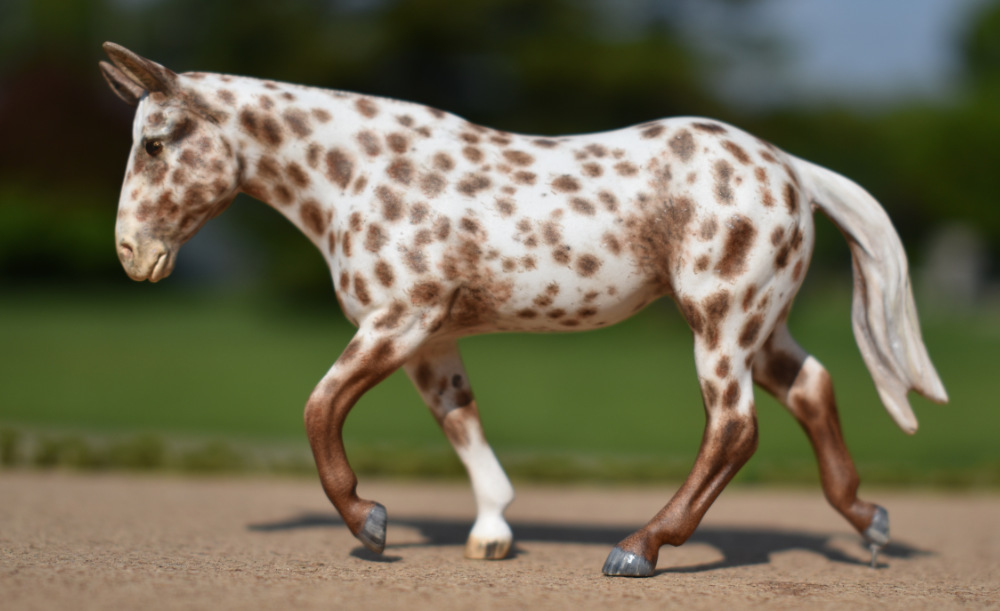 CM Breyer by Sarah Tregay, a Custom Mini/ Stablemate Model Molly Mule in Liver Chestnut Appaloosa