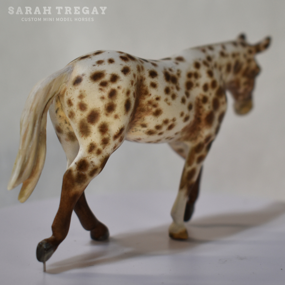CM Breyer by Sarah Tregay, a Custom Mini/ Stablemate Model Molly Mule in Liver Chestnut Appaloosa