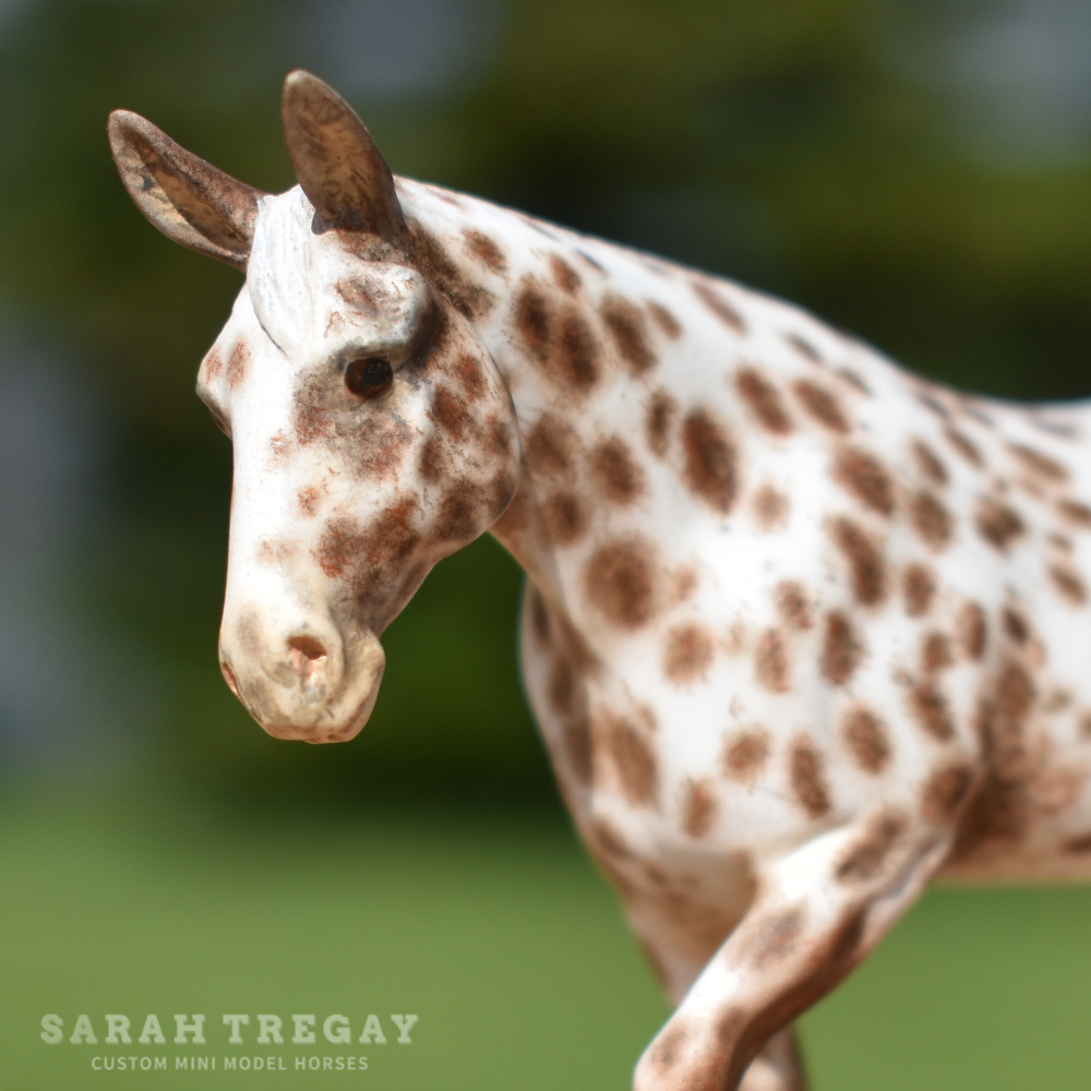 CM Breyer by Sarah Tregay, a Custom Mini/ Stablemate Model Molly Mule in Liver Chestnut Appaloosa