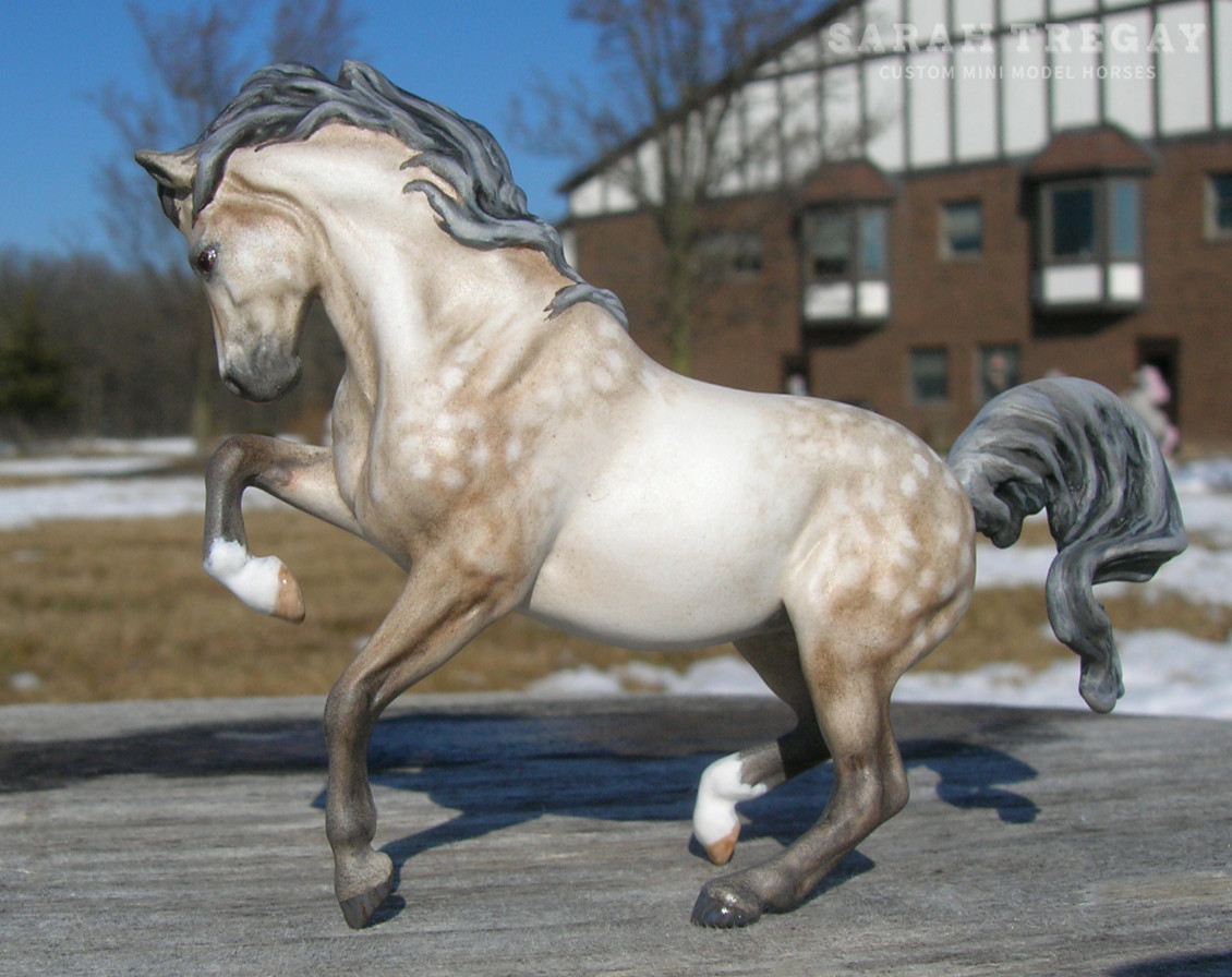CM Breyer Croi Stablemate, a dapple rose gray pony mare by Sarah Tregay, a Custom Mini/ Stablemate Model Horse
                  <p class=