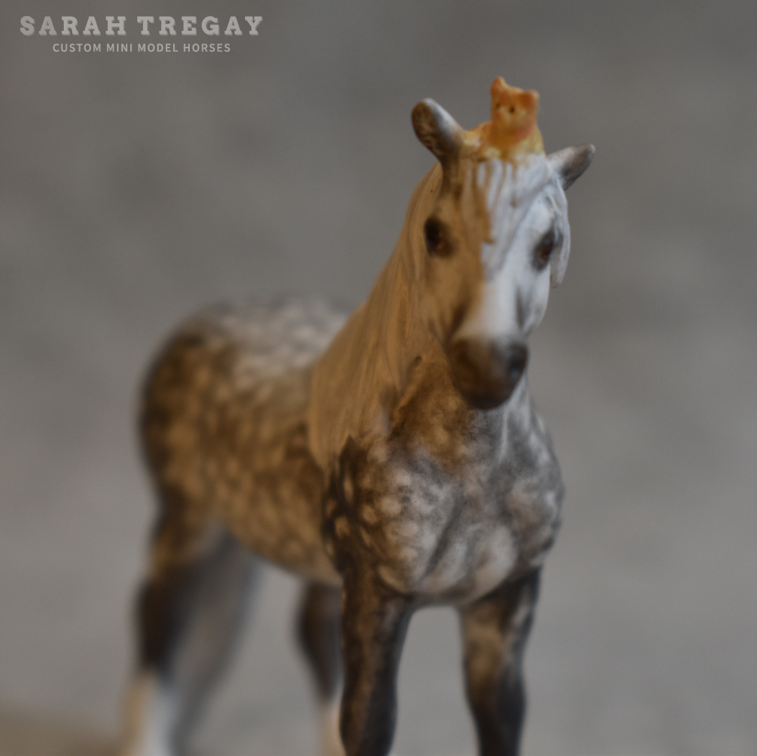 CM Breyer by Sarah Tregay, a Dapple gray Custom Mini/ Stablemate Model Horse Breyer pony with cute kitten on her head