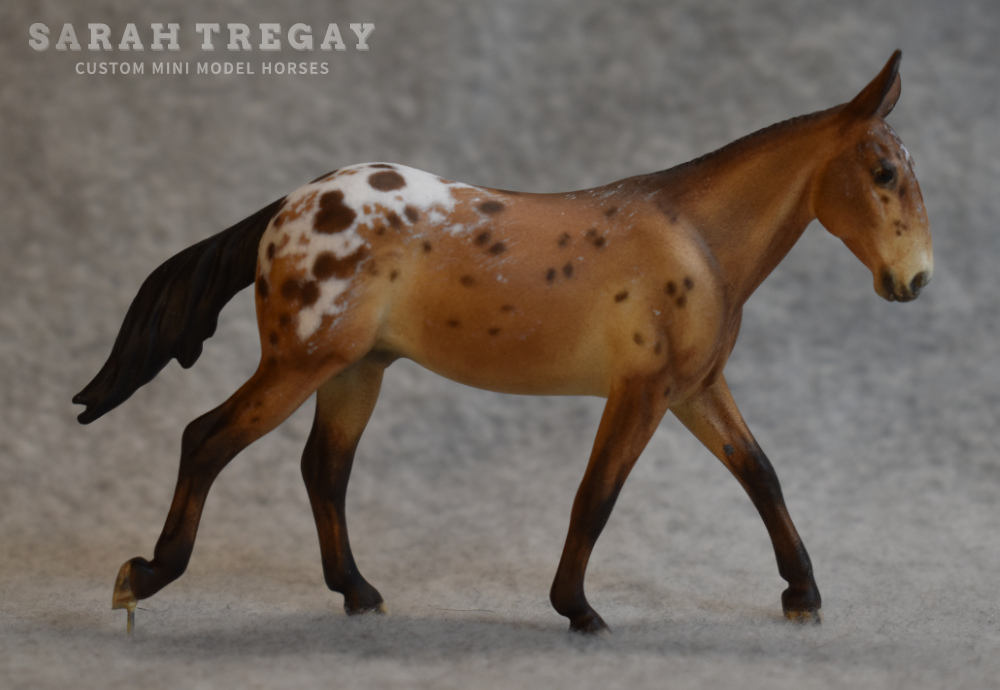 CM Breyer by Sarah Tregay, a bay appaloosa mule Custom Mini/ Stablemate Model Horse Breyer corbin/Irish Draft mold