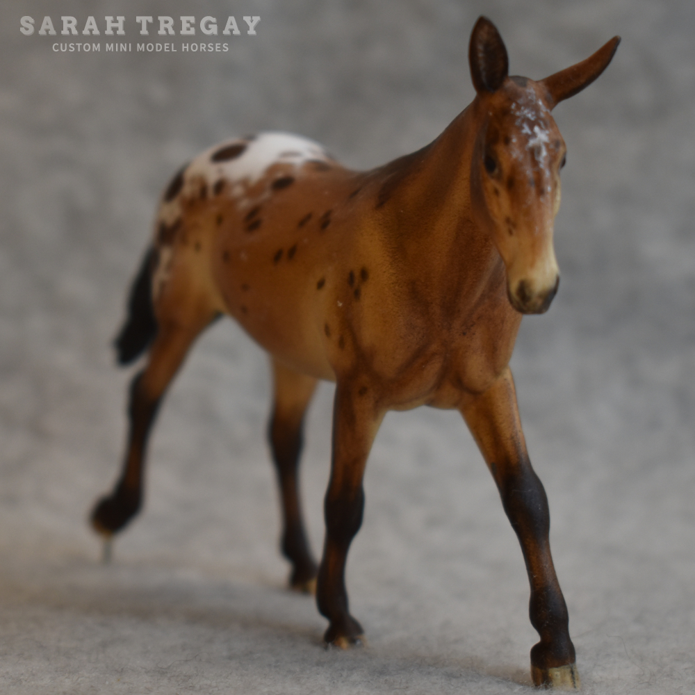 CM Breyer by Sarah Tregay, a bay appaloosa mule Custom Mini/ Stablemate Model Horse Breyer corbin/Irish Draft mold
