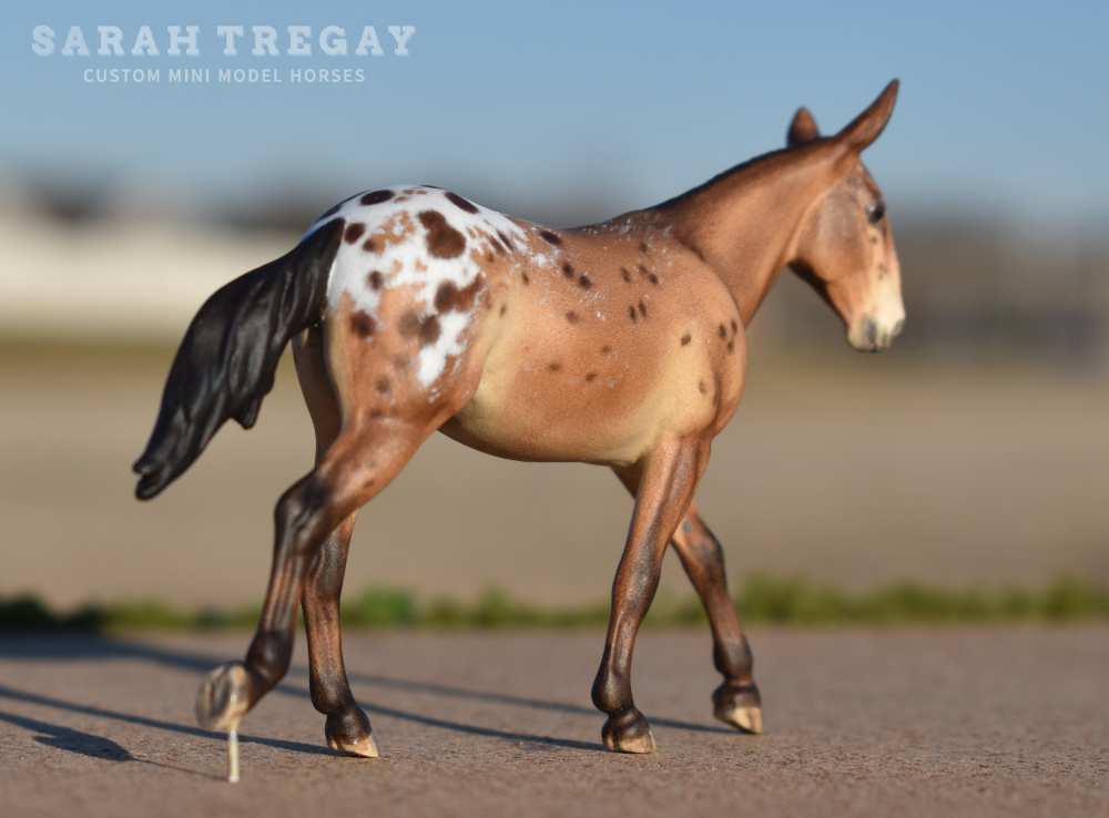 CM Breyer by Sarah Tregay, a bay appaloosa mule Custom Mini/ Stablemate Model Horse Breyer corbin/Irish Draft mold
