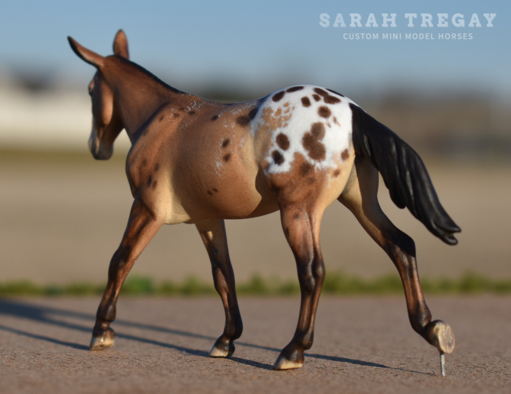 CM Breyer by Sarah Tregay, a bay appaloosa mule Custom Mini/ Stablemate Model Horse Breyer corbin/Irish Draft mold