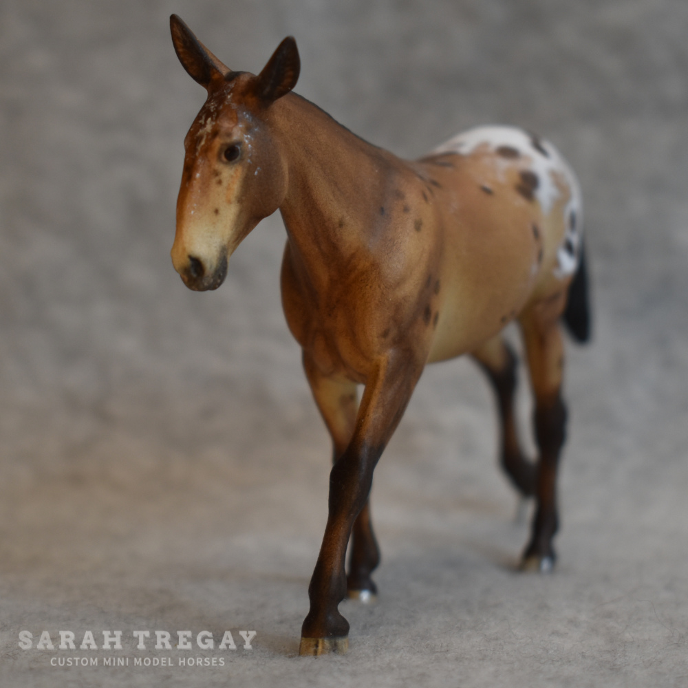 CM Breyer by Sarah Tregay, a bay appaloosa mule Custom Mini/ Stablemate Model Horse Breyer corbin/Irish Draft mold
