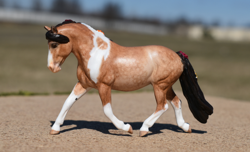 CM Breyer Paint dapple buckskin pony by Sarah Tregay, a Custom Mini/ Stablemate Model Horse