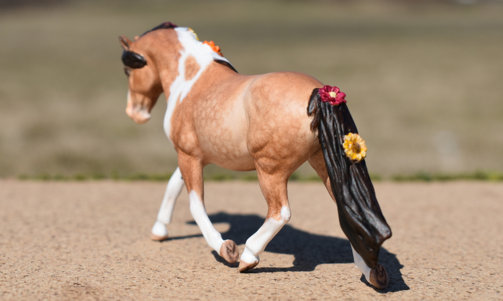 CM Breyer Paint dapple buckskin pony by Sarah Tregay, a Custom Mini/ Stablemate Model Horse
