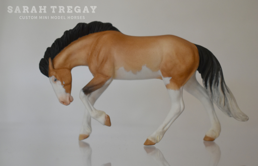 Custom Breyer Stablemate by Sarah Tregay buckskin pinto splash white