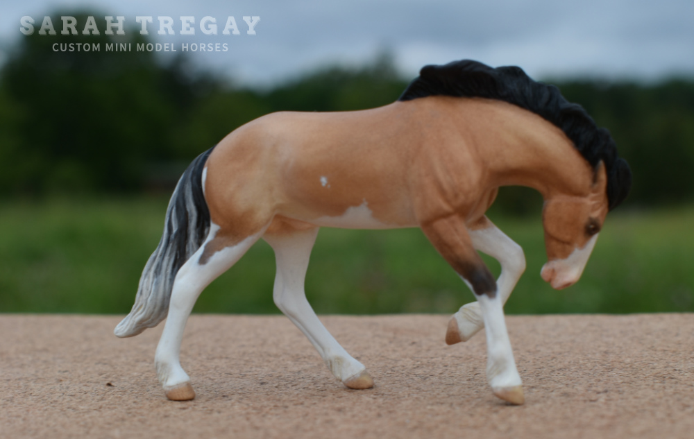 by Sarah Tregay, a Custom Mini/ Stablemate Model Horse