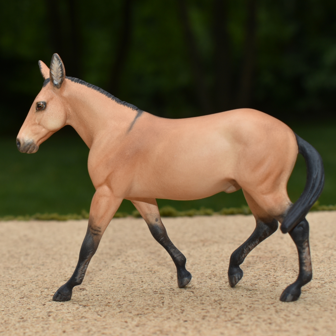 CM model horse mule Custom Breyer Stablemate (mini) by Sarah Tregay buckskin gaited mule