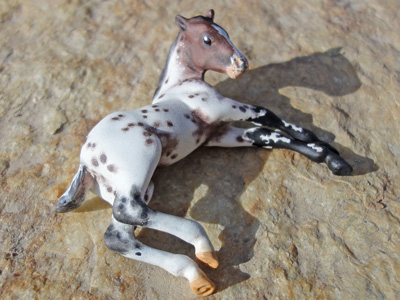 appy foal custom model horse by Sarah Tregay