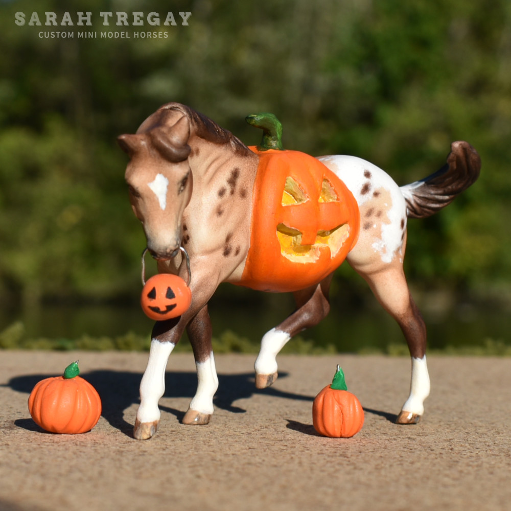 Trick-or-treat, Halloween Model Horse  buckskin appaloosa/ pumpkin belly Jack-o-lantern