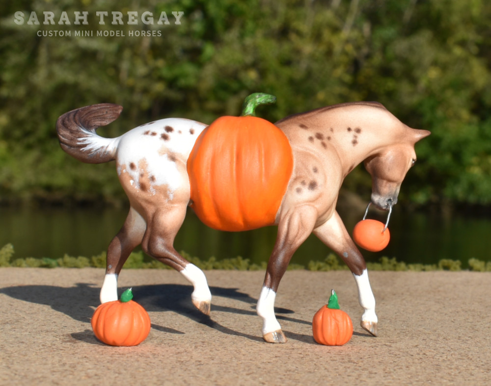 Trick-or-treat, Halloween Model Horse  buckskin appaloosa/ pumpkin belly Jack-o-lantern