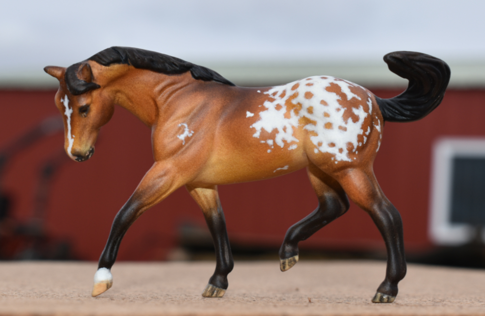 custom mini model horse Custom Breyer stablemate by Sarah Tregay (Breyer Stablemate appaloosa)