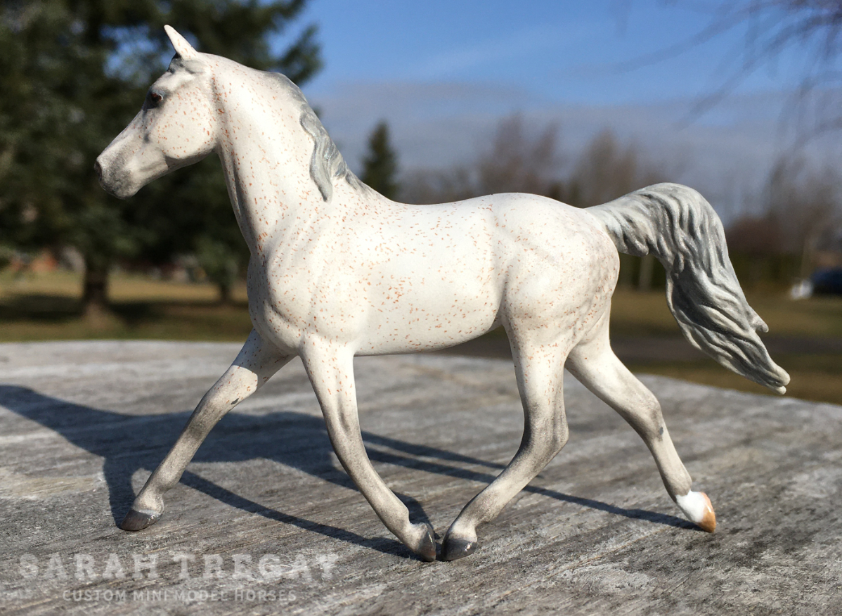 CM Breyer Prince Charming Stablemate Custom, a dapple flea bitten gray grey part Arabian mare by Sarah Tregay, a Custom Mini/ Stablemate Model Horse