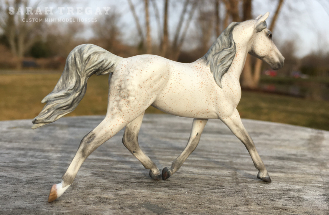 CM Breyer Prince Charming Stablemate Custom, a dapple flea bitten gray grey part Arabian mare by Sarah Tregay, a Custom Mini/ Stablemate Model Horse