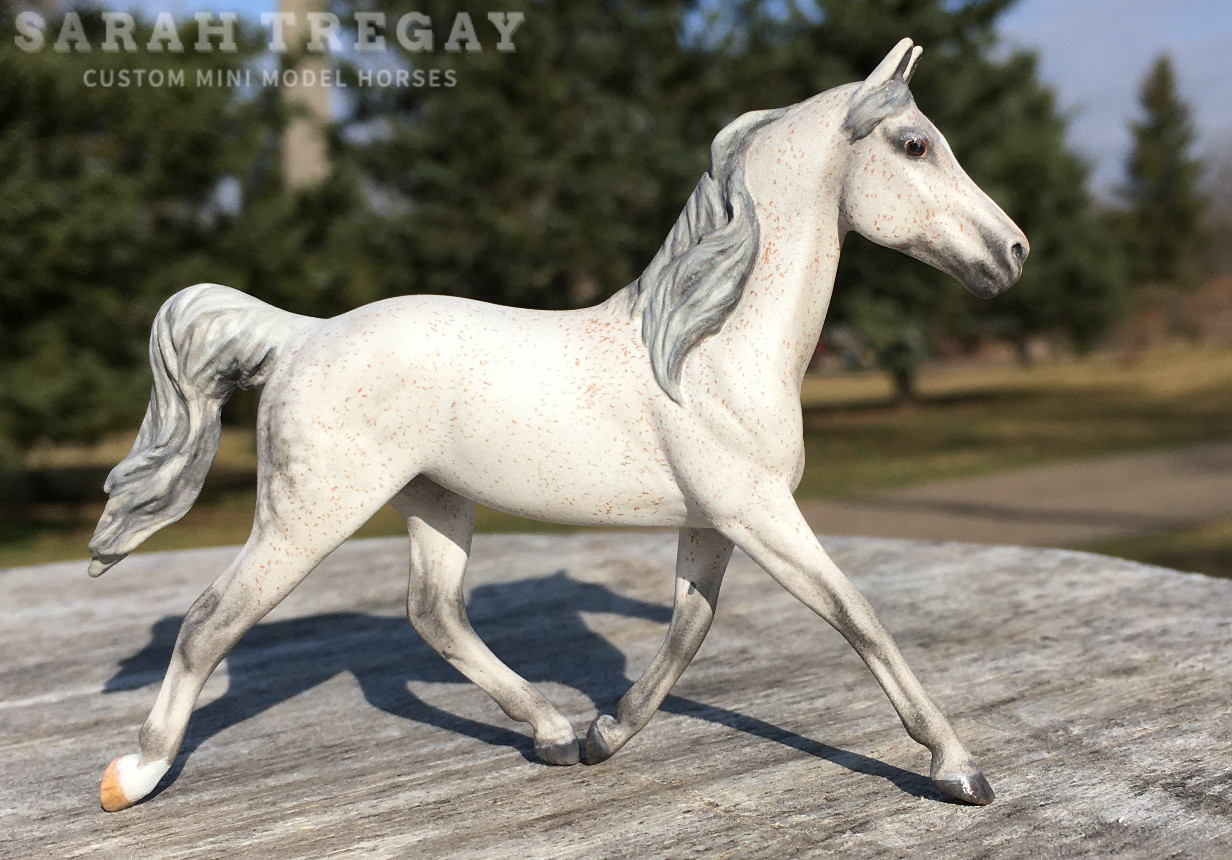 CM Breyer Prince Charming Stablemate Custom, a dapple flea bitten gray grey part Arabian mare by Sarah Tregay, a Custom Mini/ Stablemate Model Horse