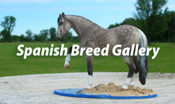 CM mini Spanish breed horses by Sarah Tregay