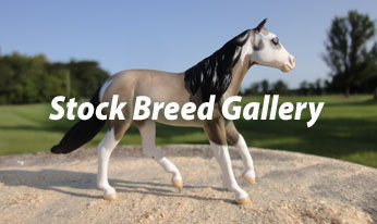 CM mini stock horses by Sarah Tregay