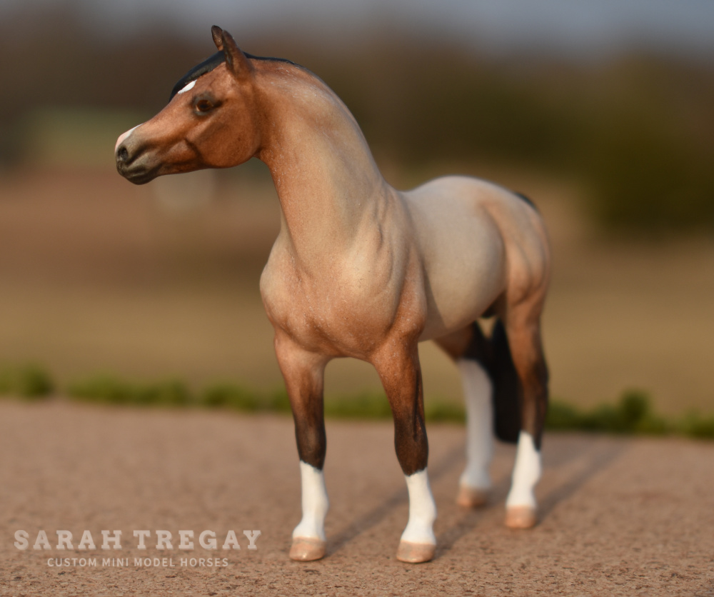 CM Breyer by Sarah Tregay, a Custom Mini/ Stablemate Model Horse to bay roan