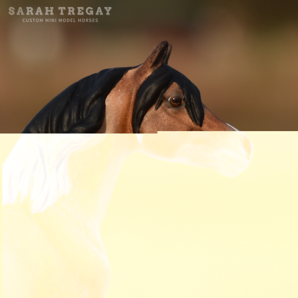 CM Breyer by Sarah Tregay, a Custom Mini/ Stablemate Model Horse to bay roan