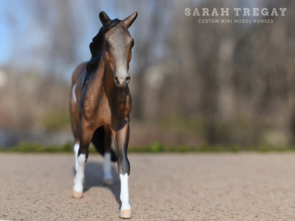 CM dapple bay pinto by Sarah Tregay, a Custom Mini/ Stablemate Model Horse