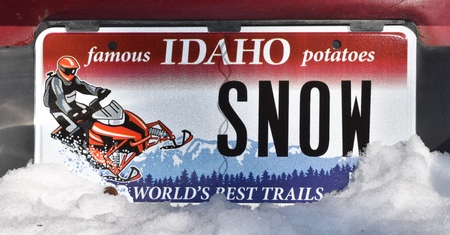 Idaho Snowmobile License plate illustration by Sarah Tregay.
